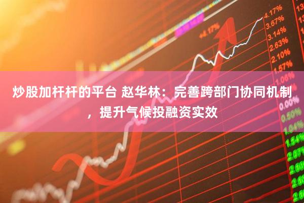 炒股加杆杆的平台 赵华林：完善跨部门协同机制，提升气候投融资实效