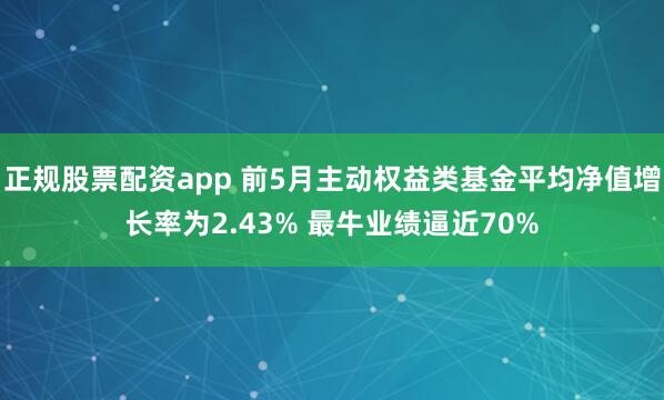 正规股票配资app 前5月主动权益类基金平均净值增长率为2.43% 最牛业绩逼近70%